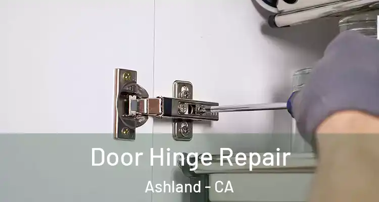  Door Hinge Repair Ashland - CA