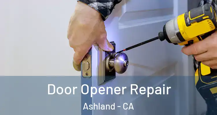  Door Opener Repair Ashland - CA