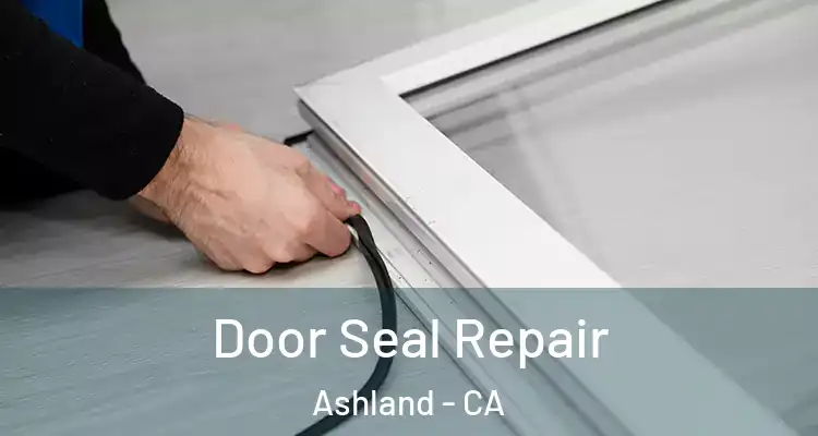  Door Seal Repair Ashland - CA