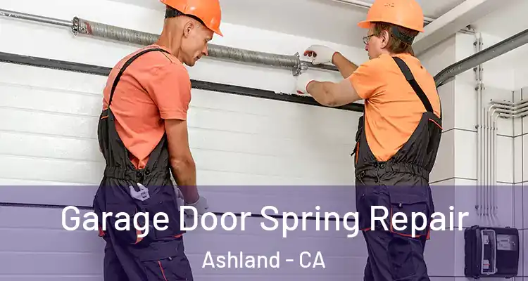  Garage Door Spring Repair Ashland - CA