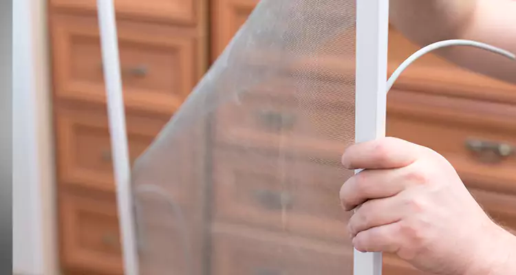 Privacy Mesh Screen Door Installation in Ashland, CA