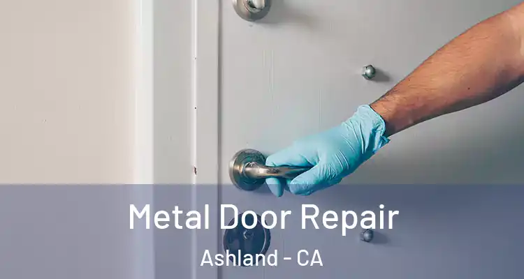  Metal Door Repair Ashland - CA