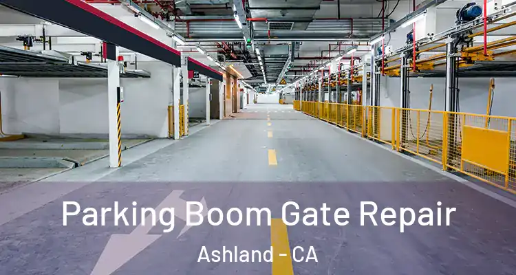  Parking Boom Gate Repair Ashland - CA
