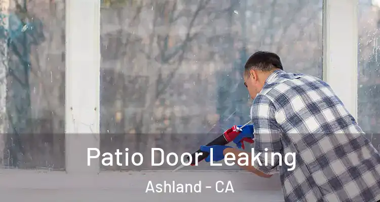  Patio Door Leaking Ashland - CA