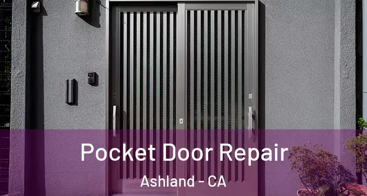  Pocket Door Repair Ashland - CA