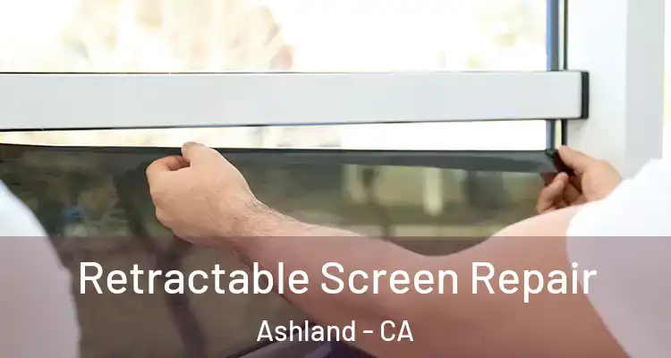  Retractable Screen Repair Ashland - CA