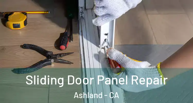  Sliding Door Panel Repair Ashland - CA