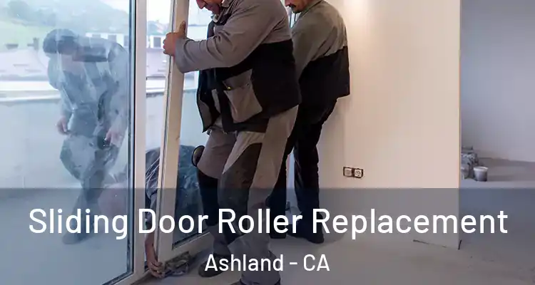 Sliding Door Roller Replacement Ashland - CA