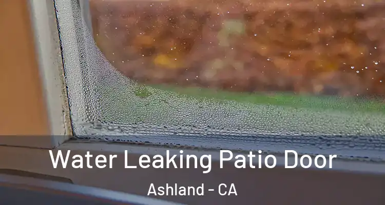  Water Leaking Patio Door Ashland - CA